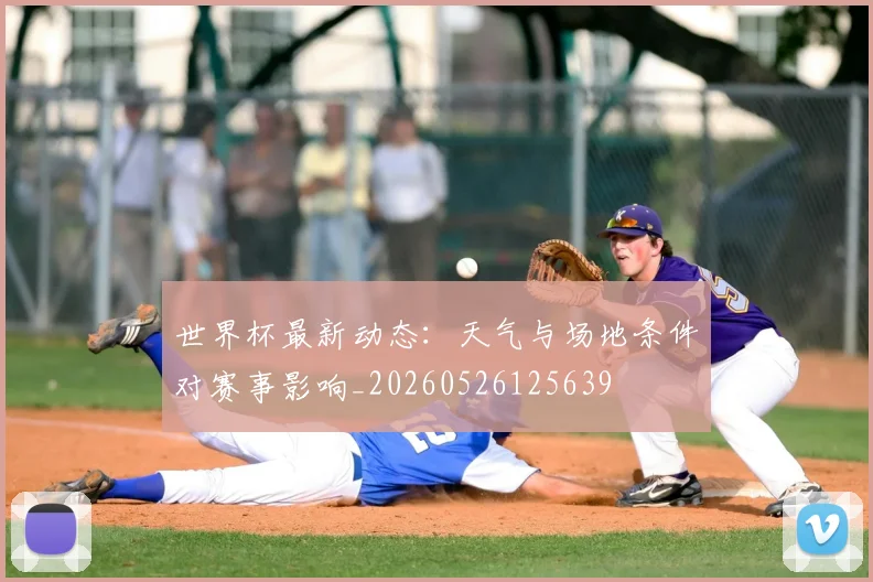 世界杯最新动态:天气与场地条件对赛事影响_20260526125639