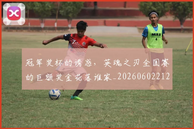 冠军奖杯的诱惑，英魂之刃全国赛的巨额奖金花落谁家_20260602212402