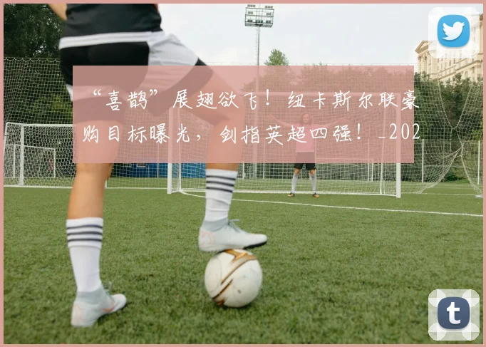“喜鹊”展翅欲飞！纽卡斯尔联豪购目标曝光，剑指英超四强！_20260530143942