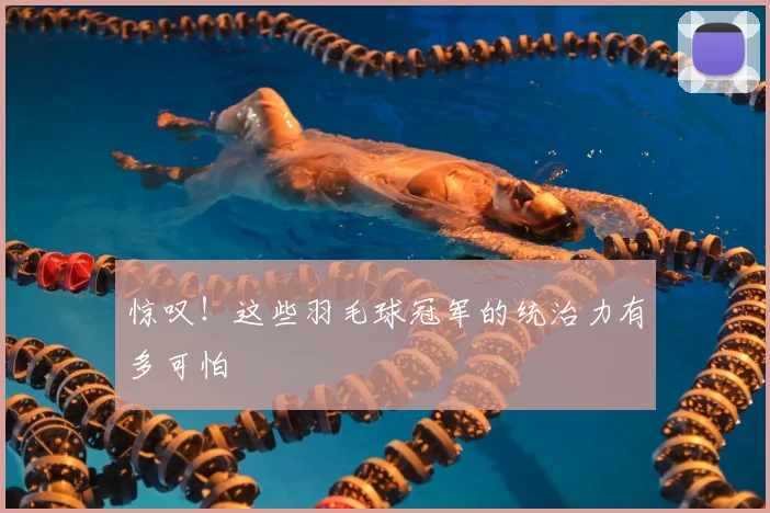 惊叹！这些羽毛球冠军的统治力有多可怕