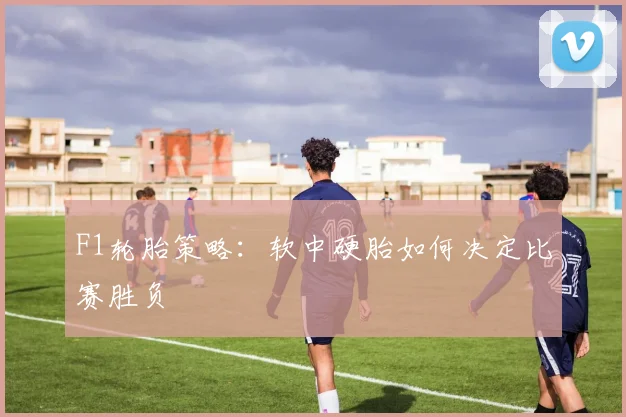 F1轮胎策略：软中硬胎如何决定比赛胜负
