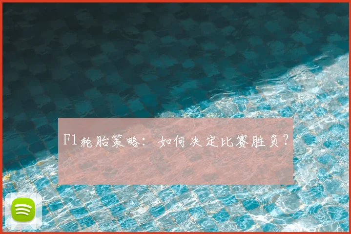 F1轮胎策略：如何决定比赛胜负？
