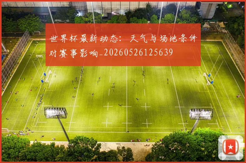 世界杯最新动态：天气与场地条件对赛事影响_20260526125639