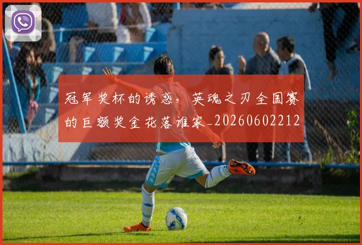冠军奖杯的诱惑，英魂之刃全国赛的巨额奖金花落谁家_20260602212402